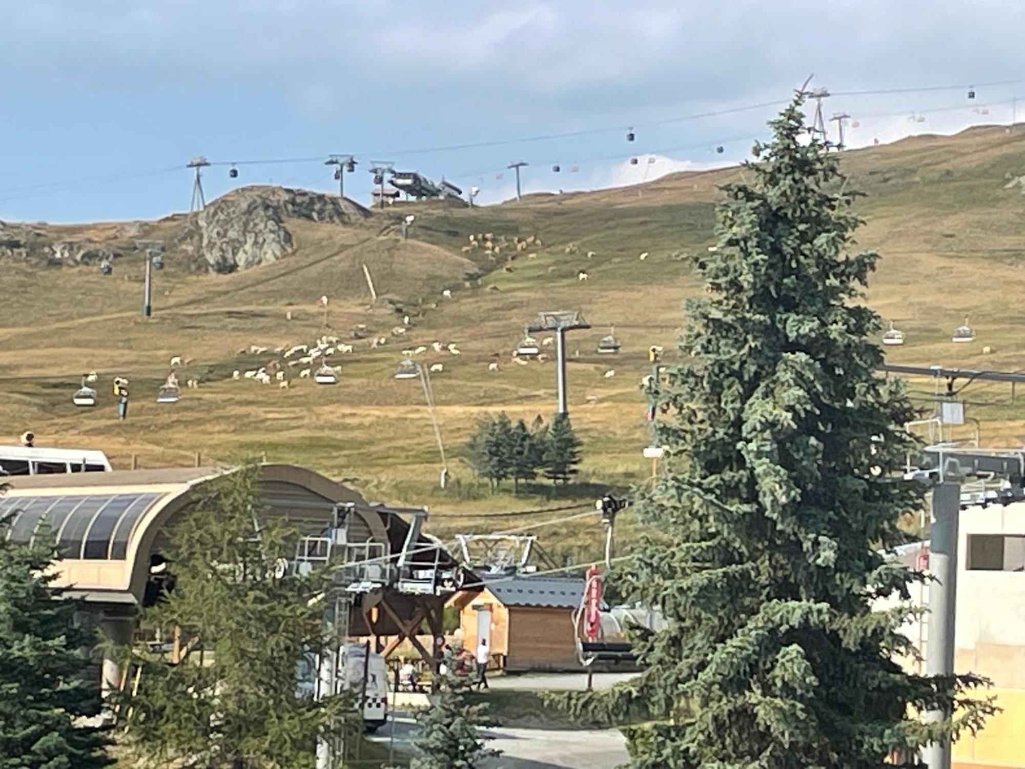 Chaleureux 1 Chamb Pied Des Pistes *